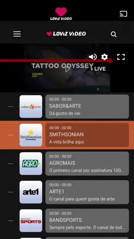 Game screenshot LOViZ ViDEO hack