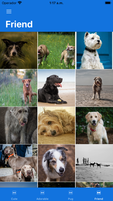 Dog Pictures Screenshot