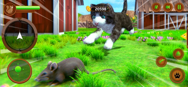 لعبة القط الصغير - My Cute Cat على App Store