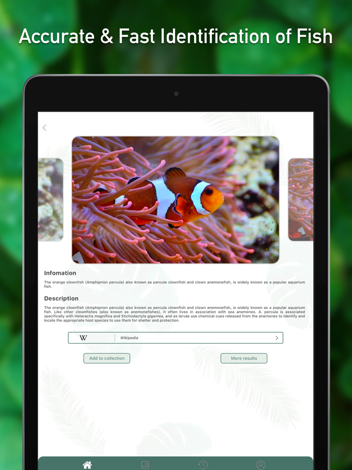Fish Identifier ID Fish Verify