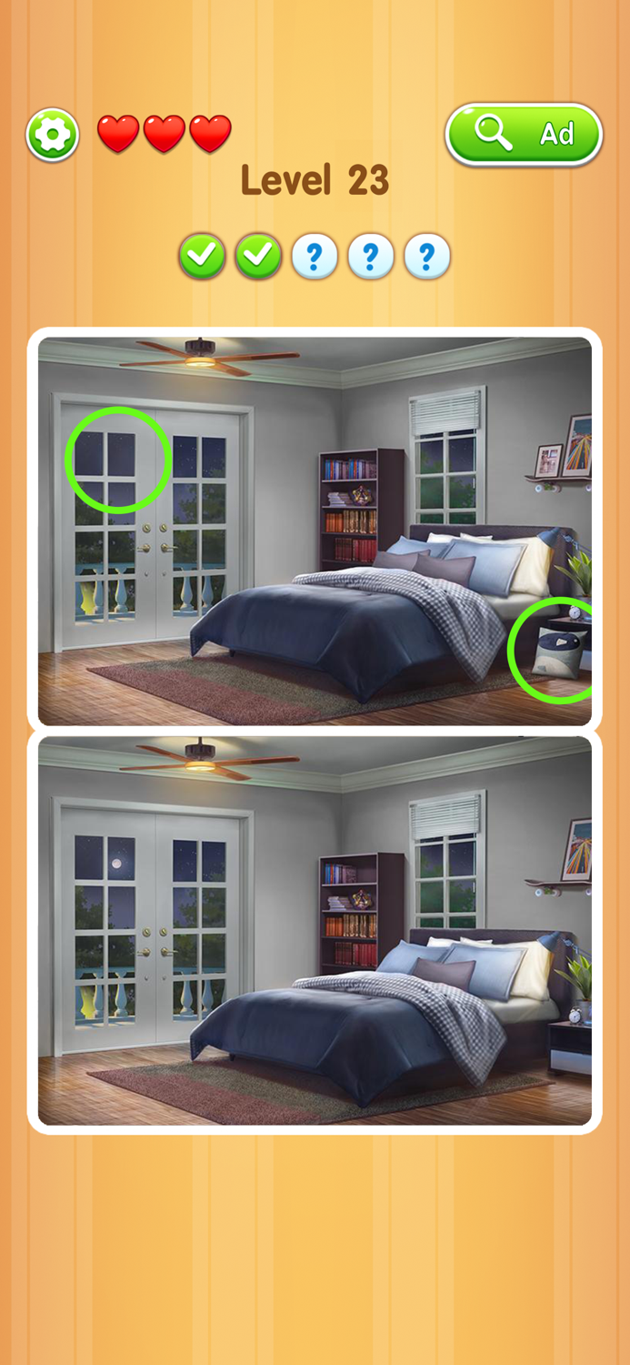 Detect It Picture Puzzle