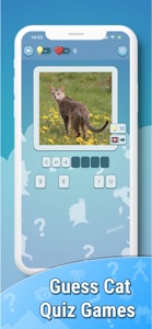 Quiz guess all cute cat breeds screenshot #1 for iPhone