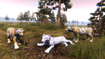 Wild Tiger Hunting Animal Life Screenshot