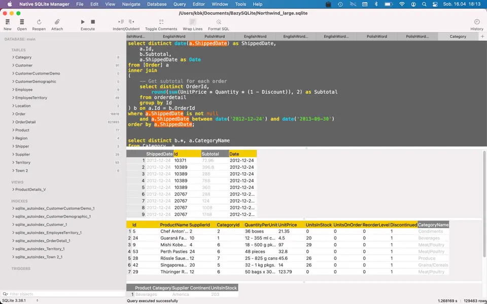 Native SQLite Manager 1.31.1 Screenshot 1