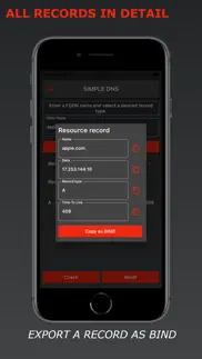 simple dns iphone screenshot 2