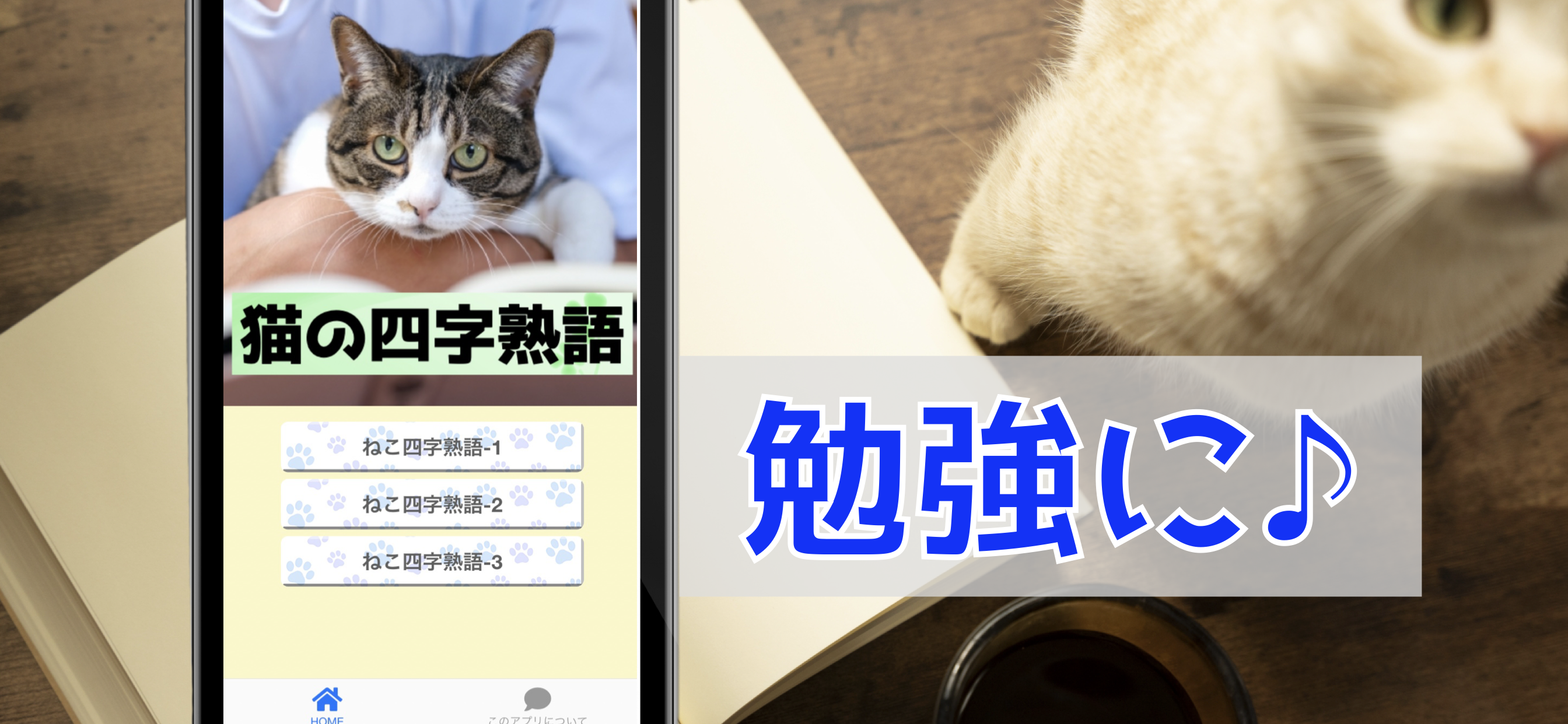 ねこの四字熟語 猫写真 猫図鑑