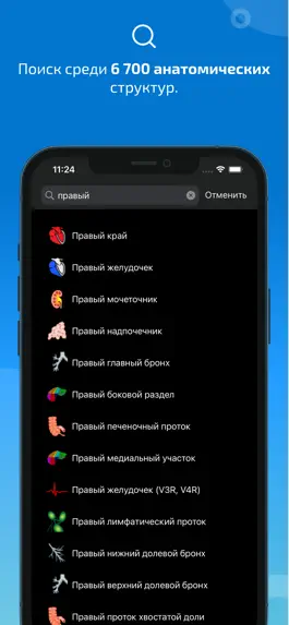 Game screenshot IMAIOS e-Anatomy hack