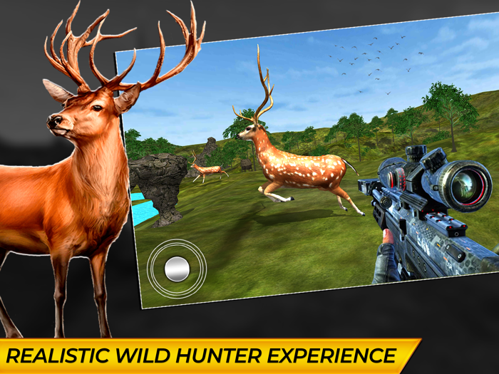 Animal Hunting  Sniper Games