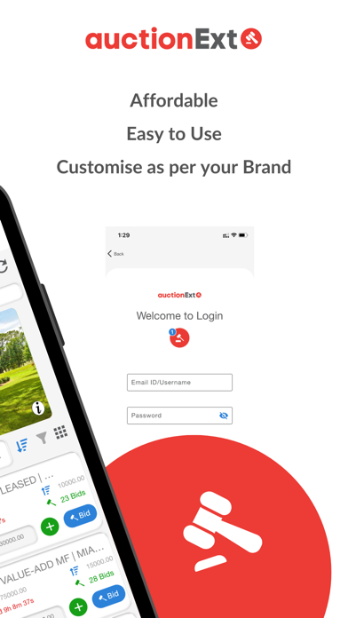 AuctionExt Screenshot