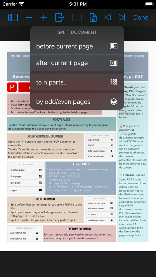 #6. PDF Pages (iOS) Podle: Ruizheng Liu