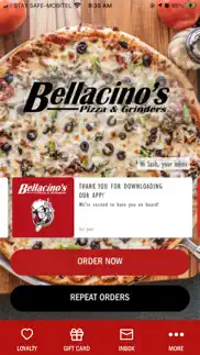 bellacino's - official problems & solutions and troubleshooting guide - 4