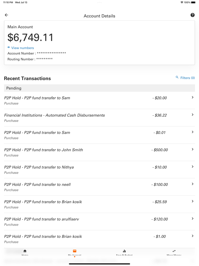 Money Network Mobile App