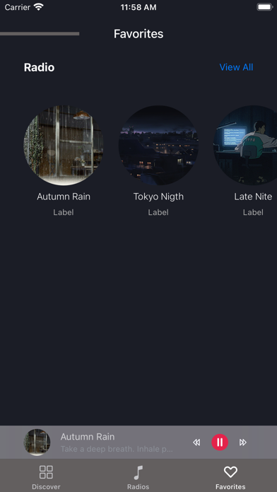 Lo Fi Music Radio Screenshot