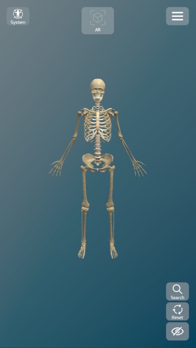 Anatomy AR Screenshot