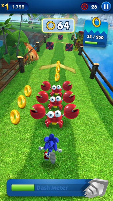 Sonic Dash Endless Runner Game Screenshot