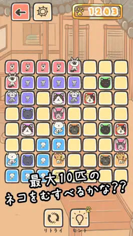 Game screenshot Cat Ties - puzzle game hack