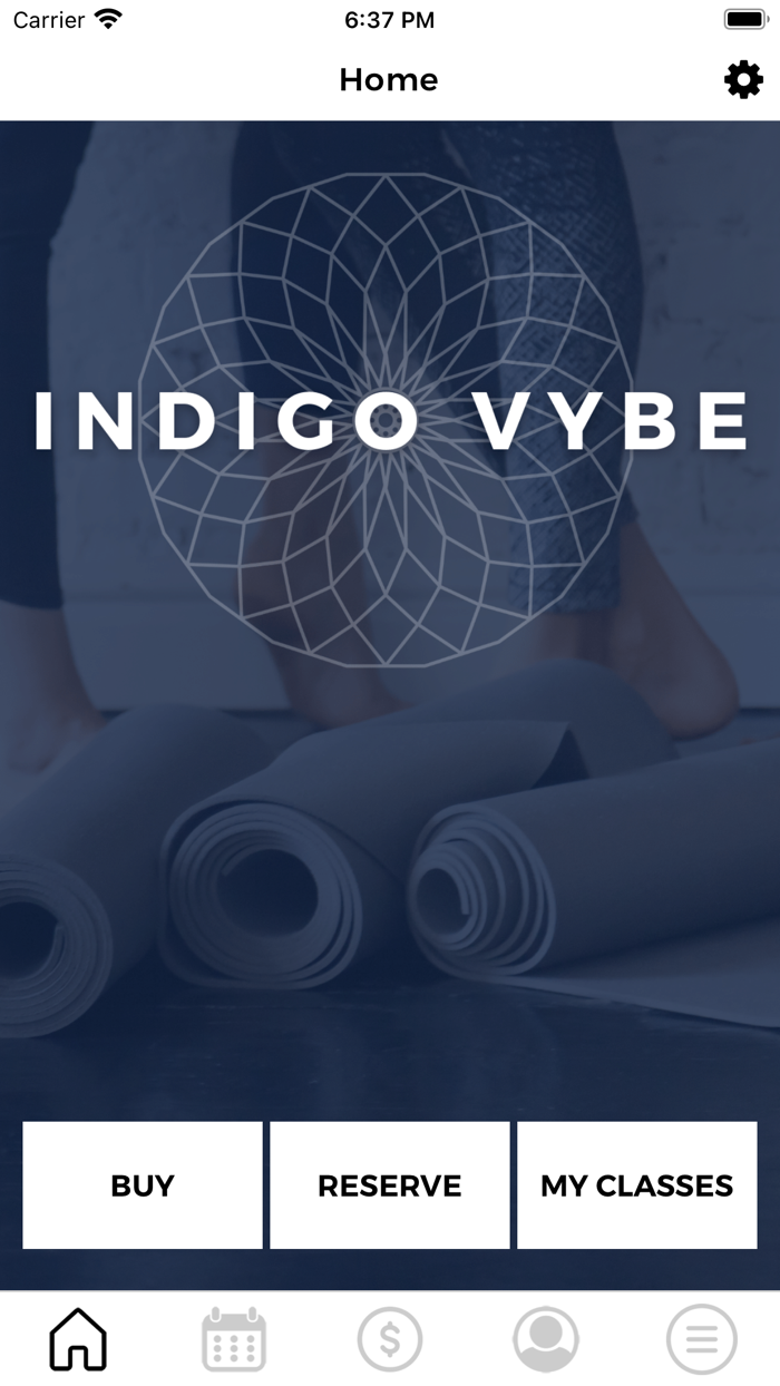 Indigo Vybe
