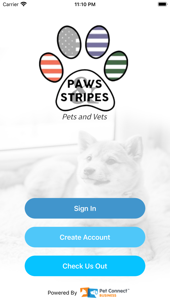 Paws and Stripes