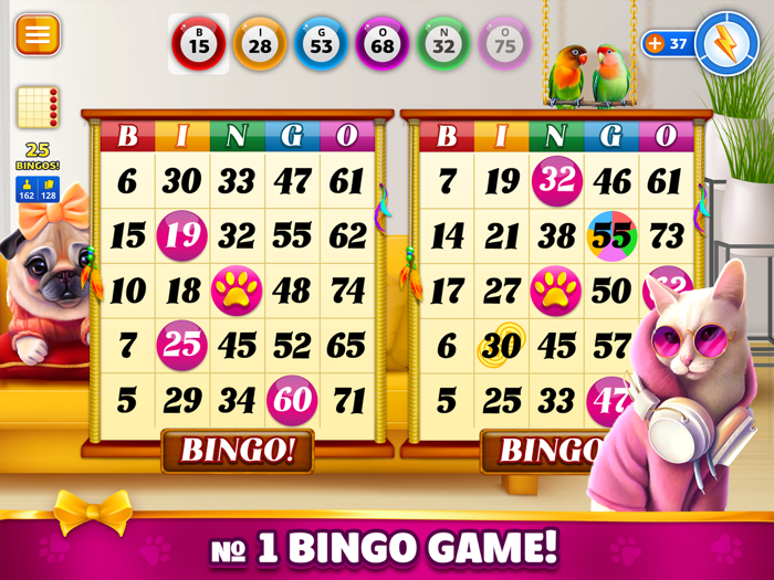 Pet Bingo Bingo Game 2024