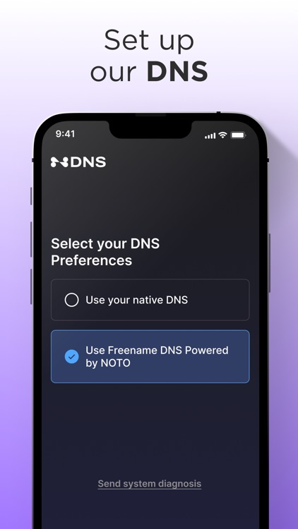 Freename DNS Installer