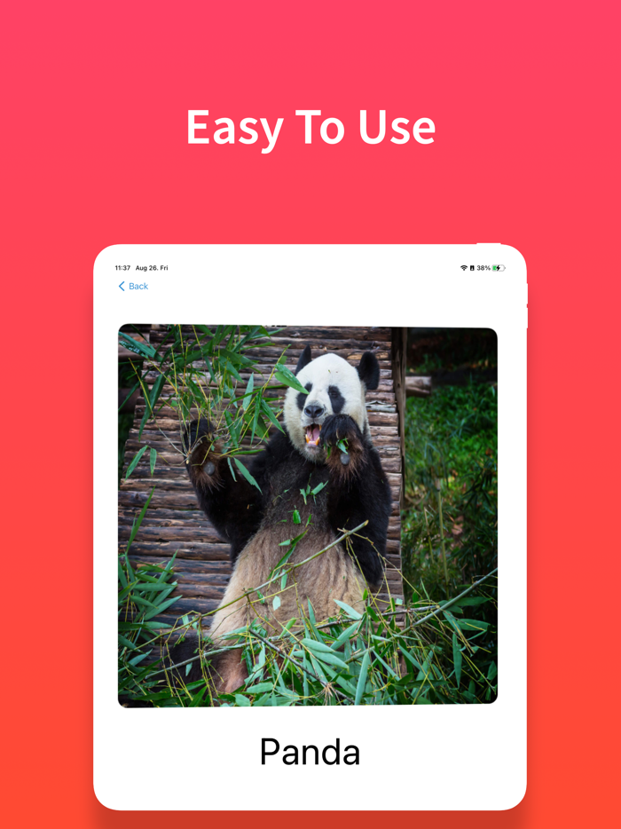 Identify Animal Sounds Noises