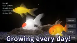Game screenshot Goldfish - Aquarium Fish Tank hack