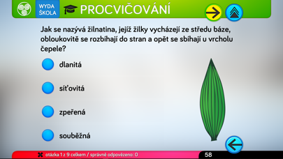 Listy stromů Screenshot