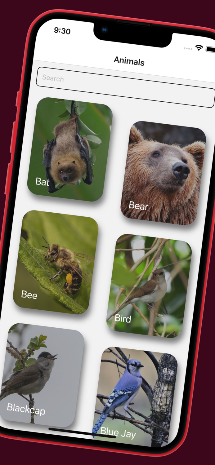 Hayo Animal Sounds  Noises