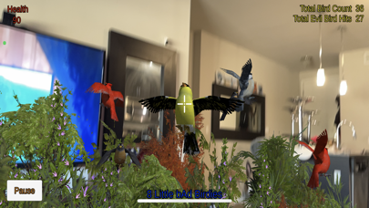 BiRD Attack Screenshot