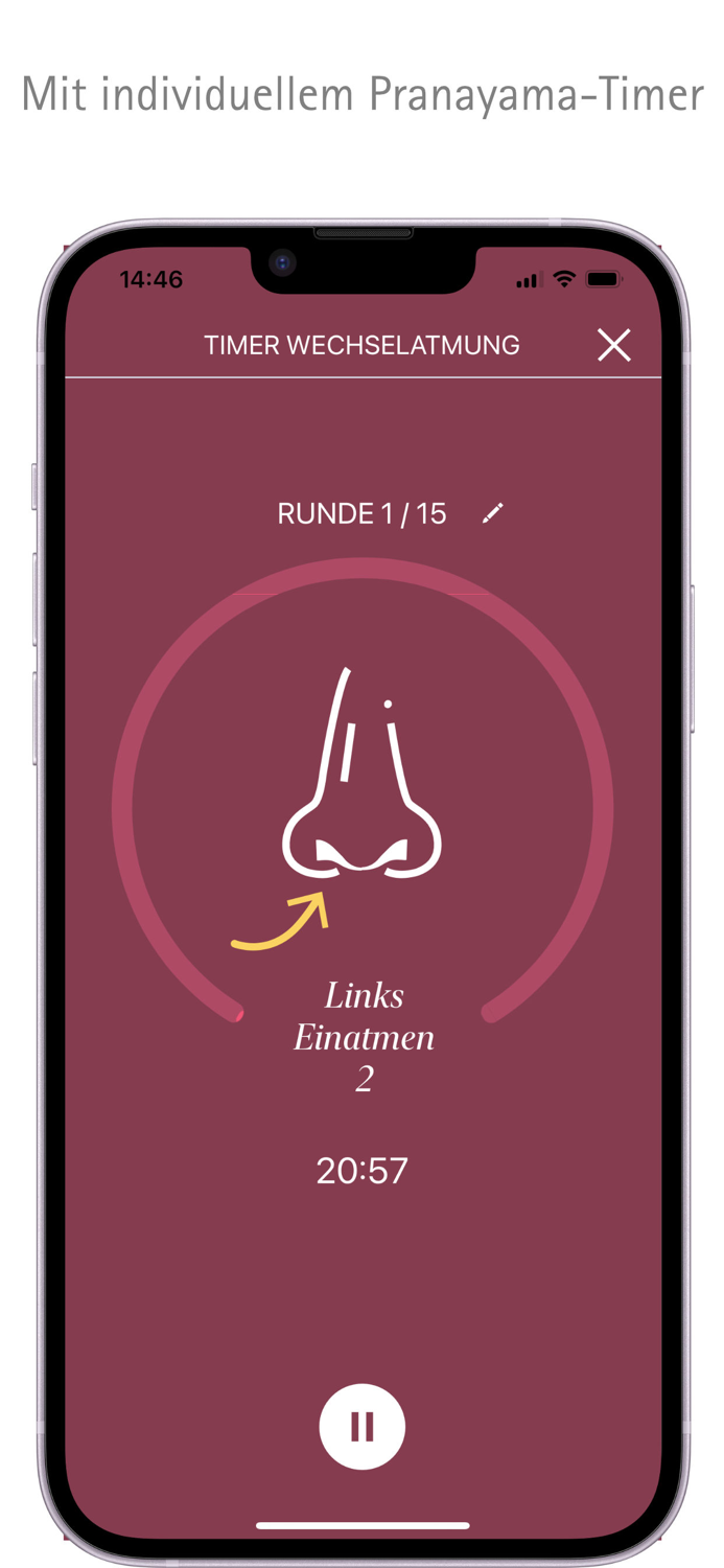 Yoga Vidya - Yoga and Meditation