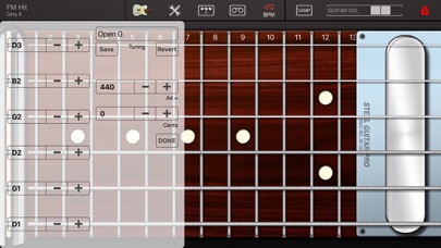 Steel Guitar PRO Screenshot