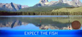 Game screenshot Fish Rain: fishing simulator mod apk