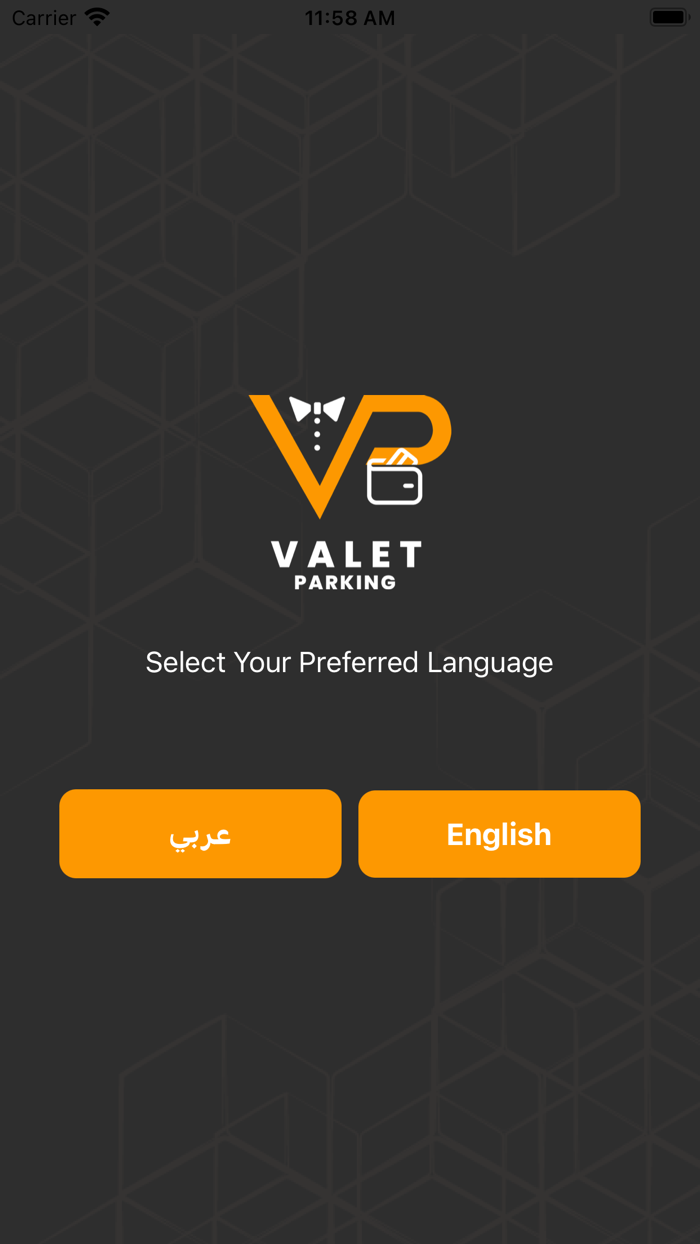 VP-Valet Parking User