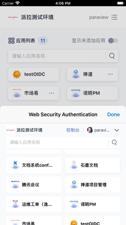 Web Security Authentication