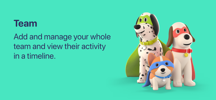 Walkies Pet Walking and Sitting