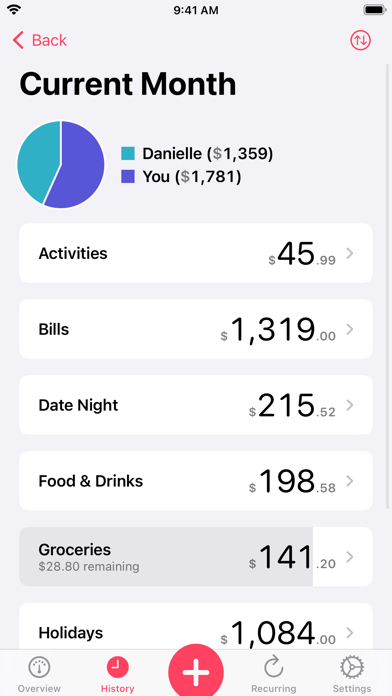 Our Expenses: Household Budget Screenshot