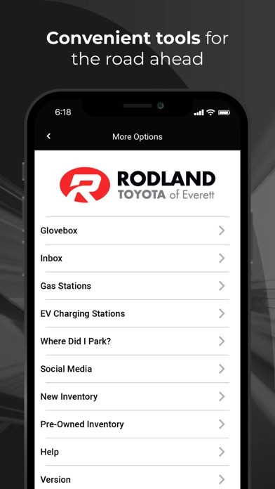 Rodland Toyota Screenshot