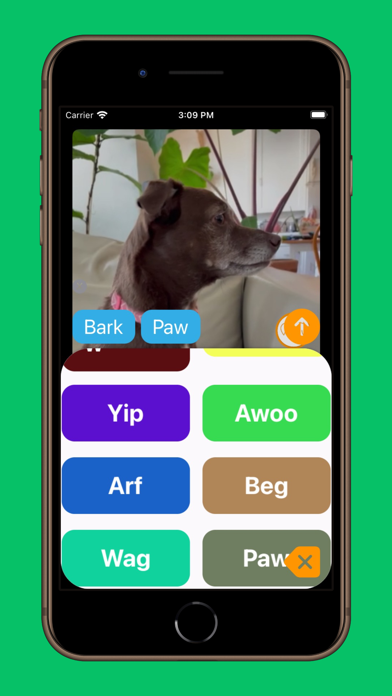BarkBarkBark Screenshot