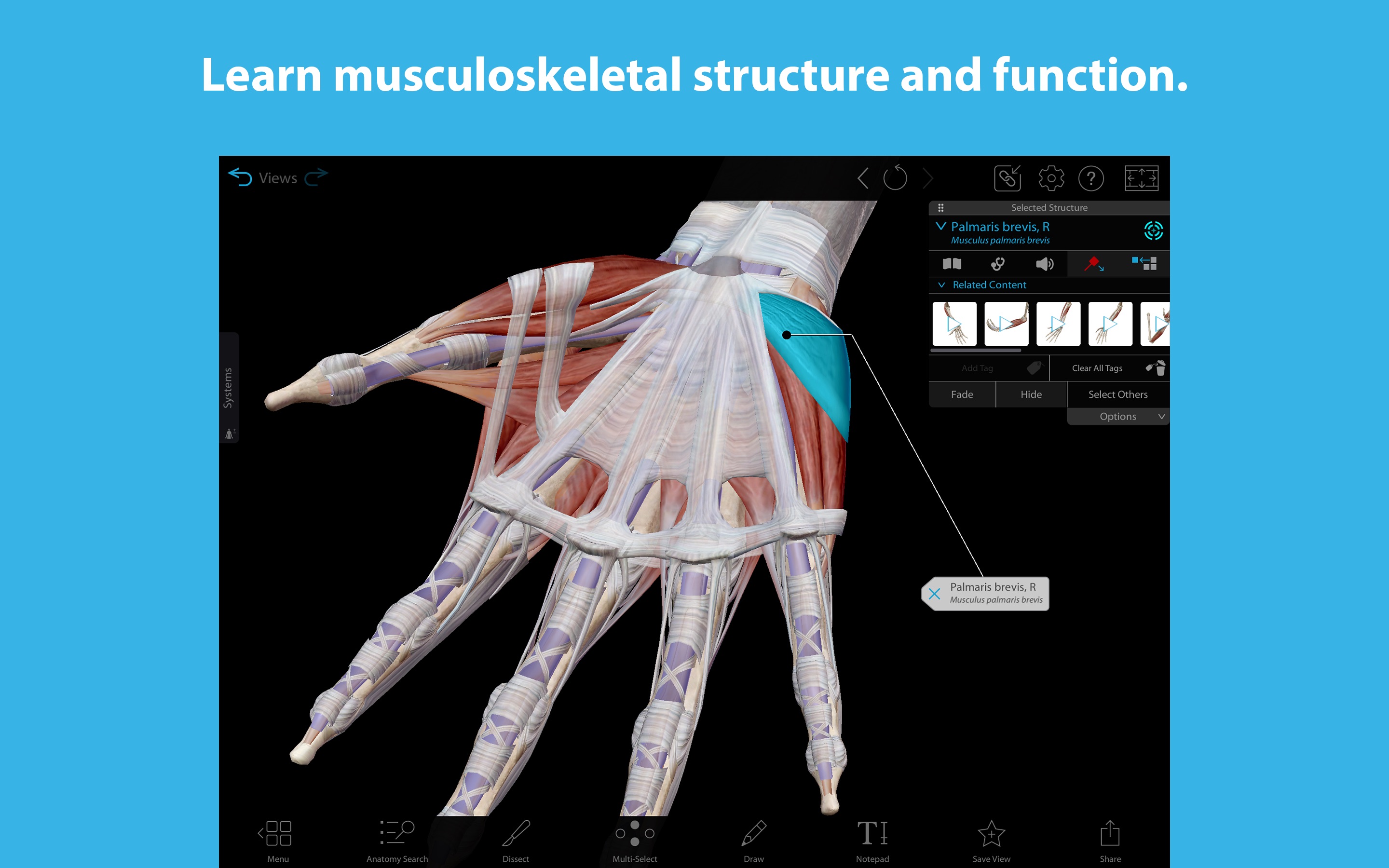 Screenshot do app 3D Human Anatomy Atlas 2024