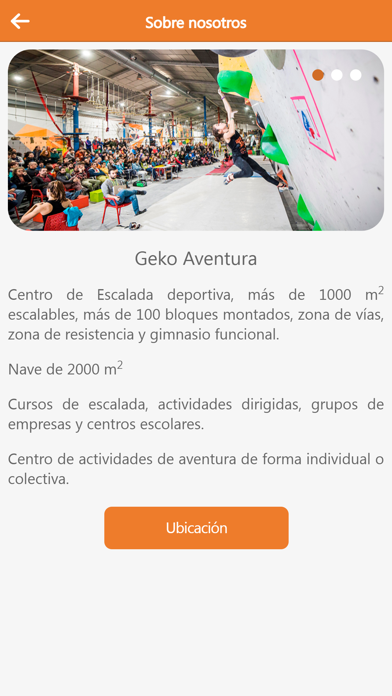 Geko Aventura Screenshot