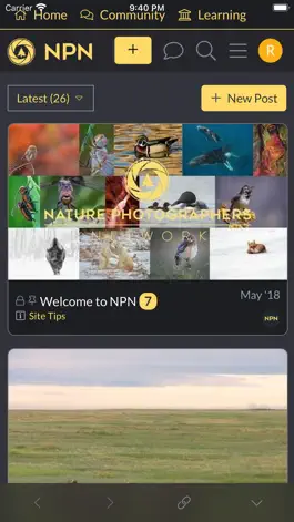Game screenshot NPN apk