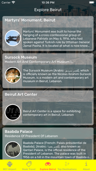 Beirut Airport (BEY) + Radar Screenshot