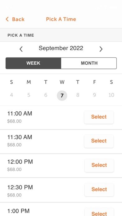 PetBar Boutique Screenshot