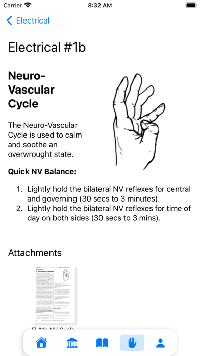 Kinesiology Plus Screenshot