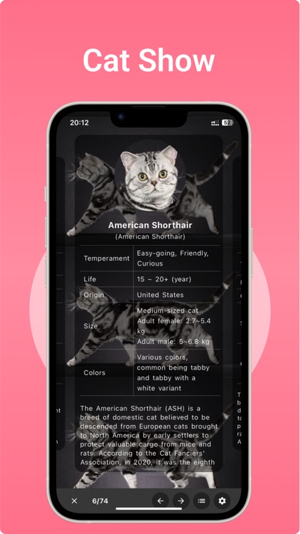 Cat Breeds Assistant screenshot-5