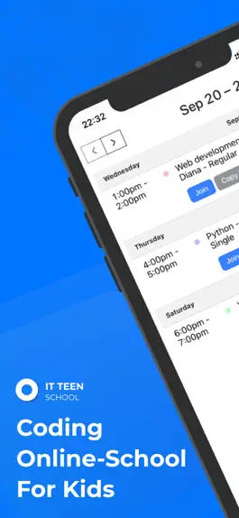 Game screenshot IT Teen: online school mod apk