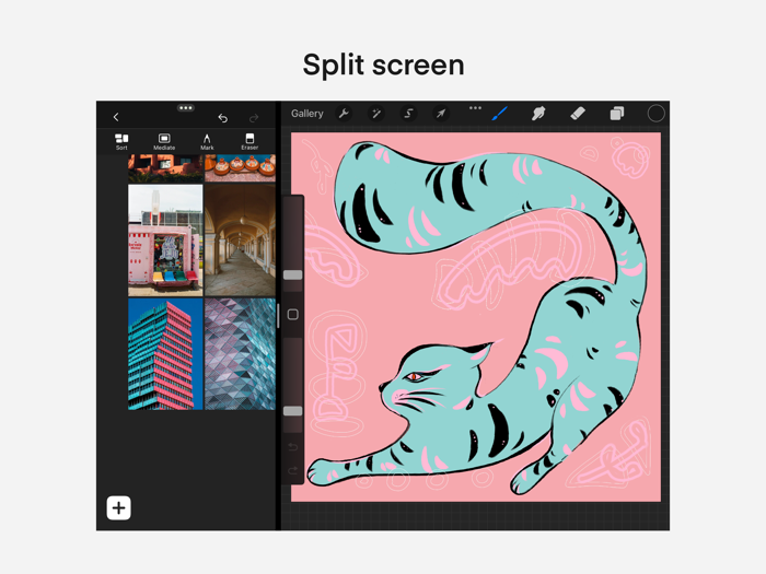 PicRef - for reference picture