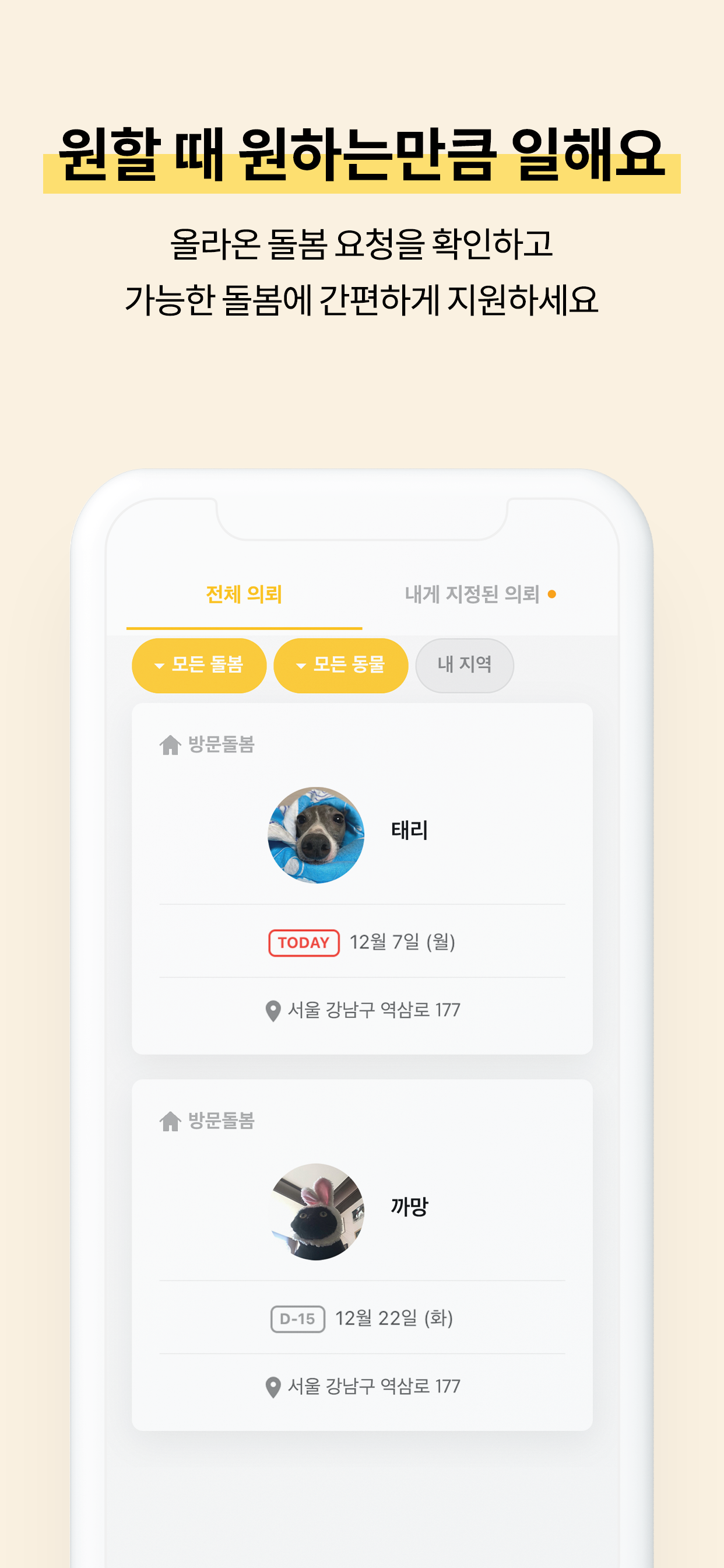 펫트너 - 펫시터선생님용