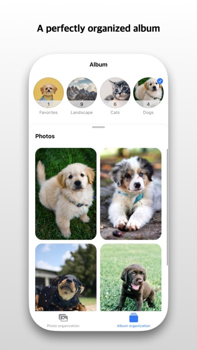 CollectBook - Photo, Album Screenshot