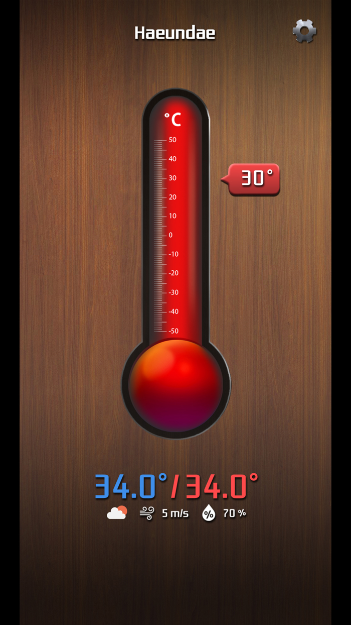 Simple Thermometer